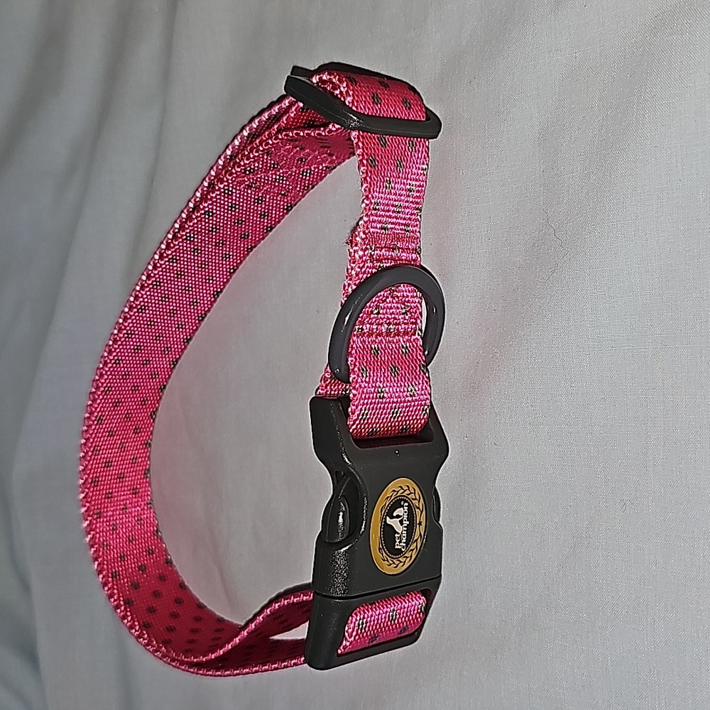 Doggie Collar